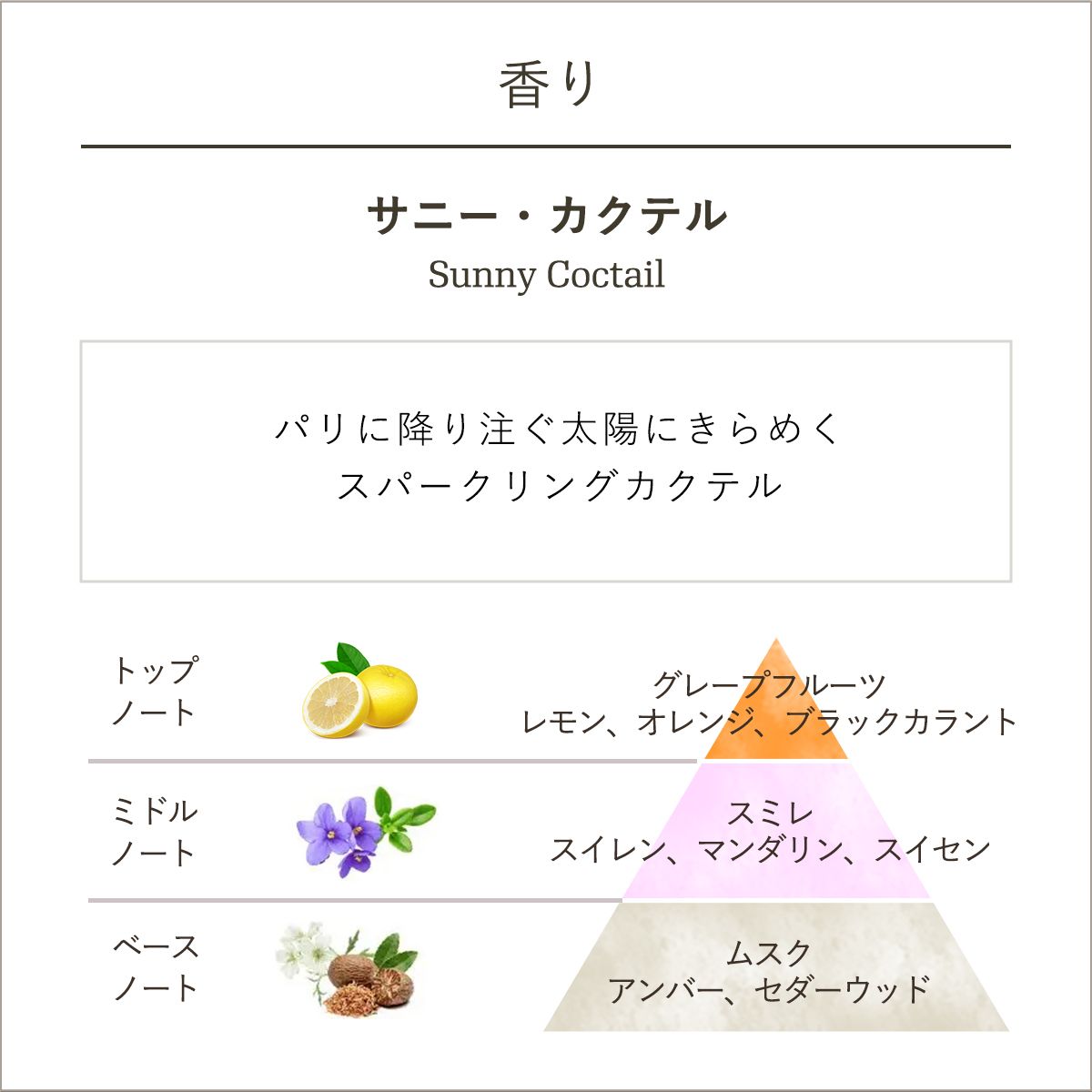 シャワーオイル サニー・カクテルの商品画像