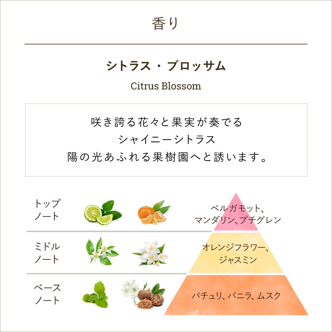 ハンドソープ(ボトル) シトラス・ブロッサムの商品画像