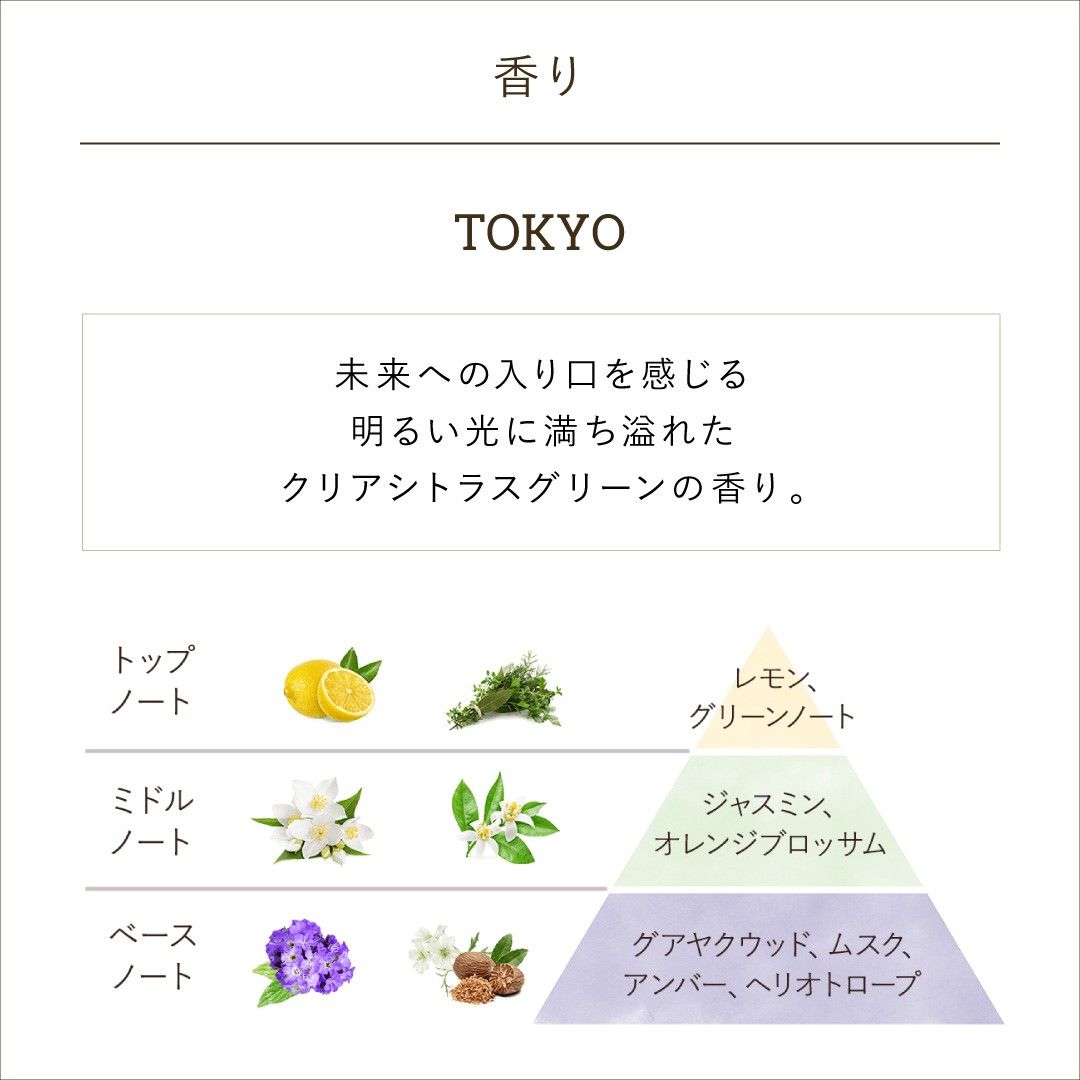 フュージョンキット TOKYO(日本限定)の商品画像