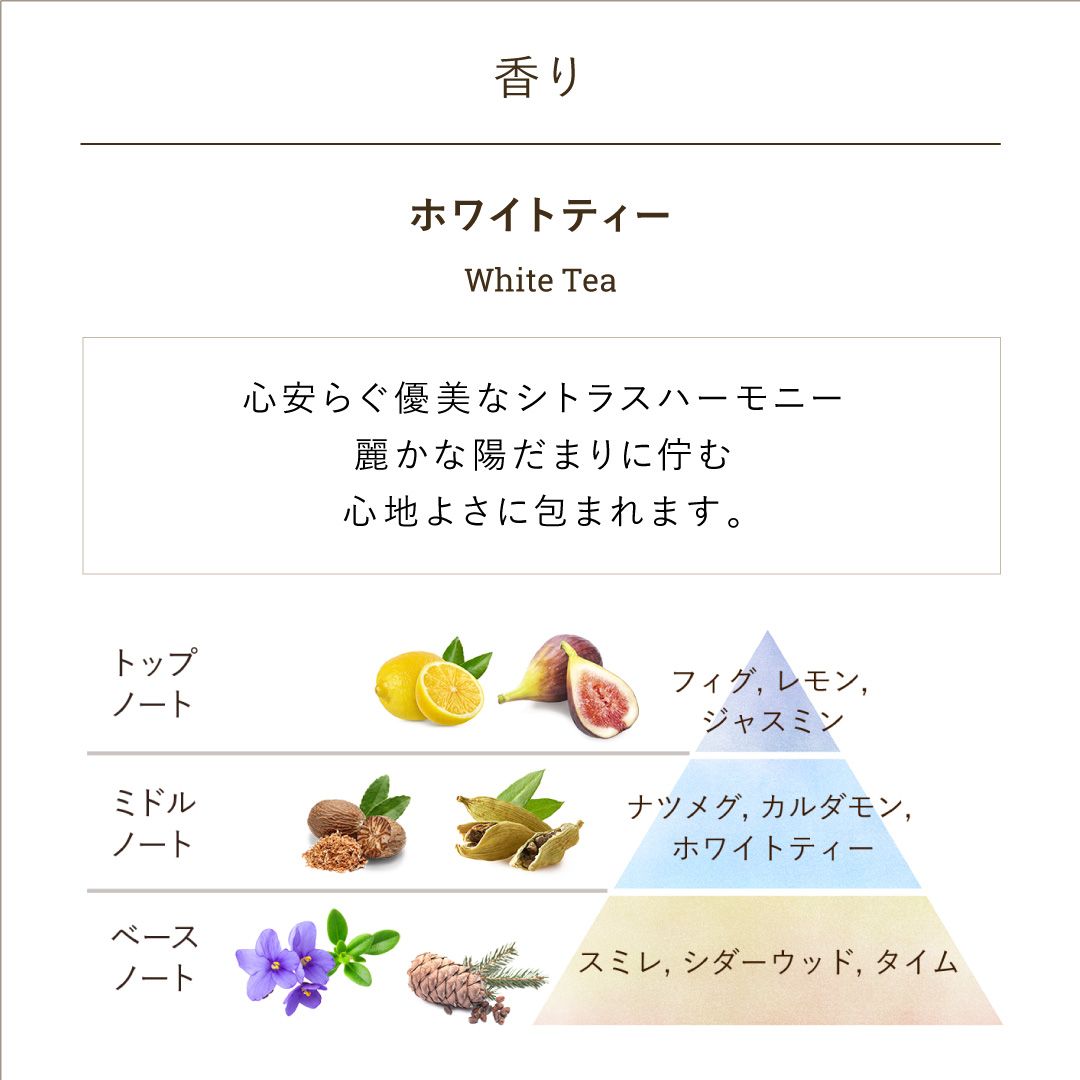 マジカルバスタイムキット ホワイトティーの商品画像