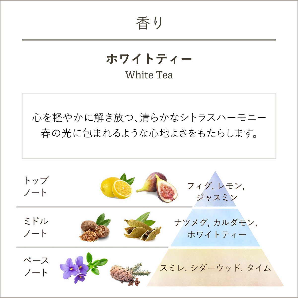 ヘアトリートメント キット ホワイトティー・セレブレーションの商品画像