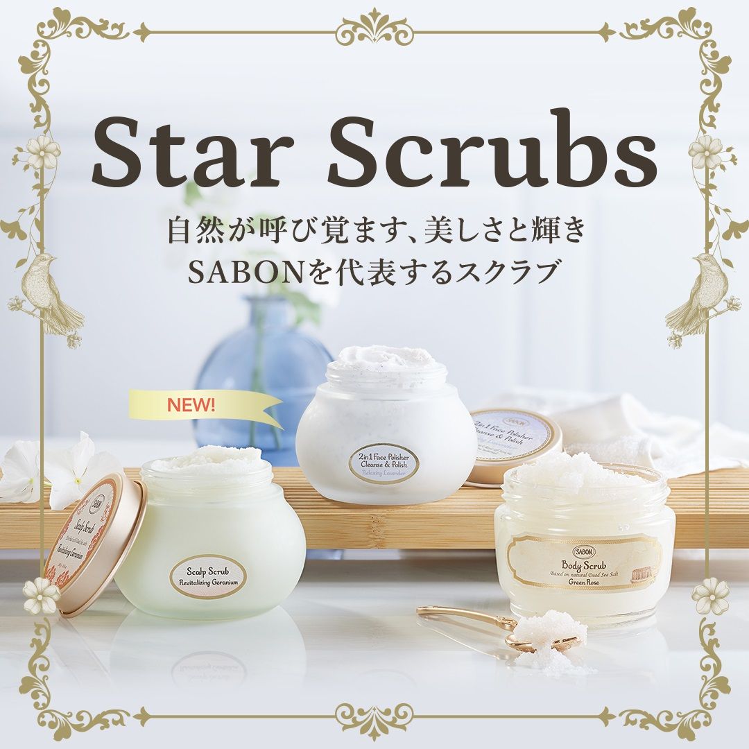 スタースクラブキット ボディ の商品画像